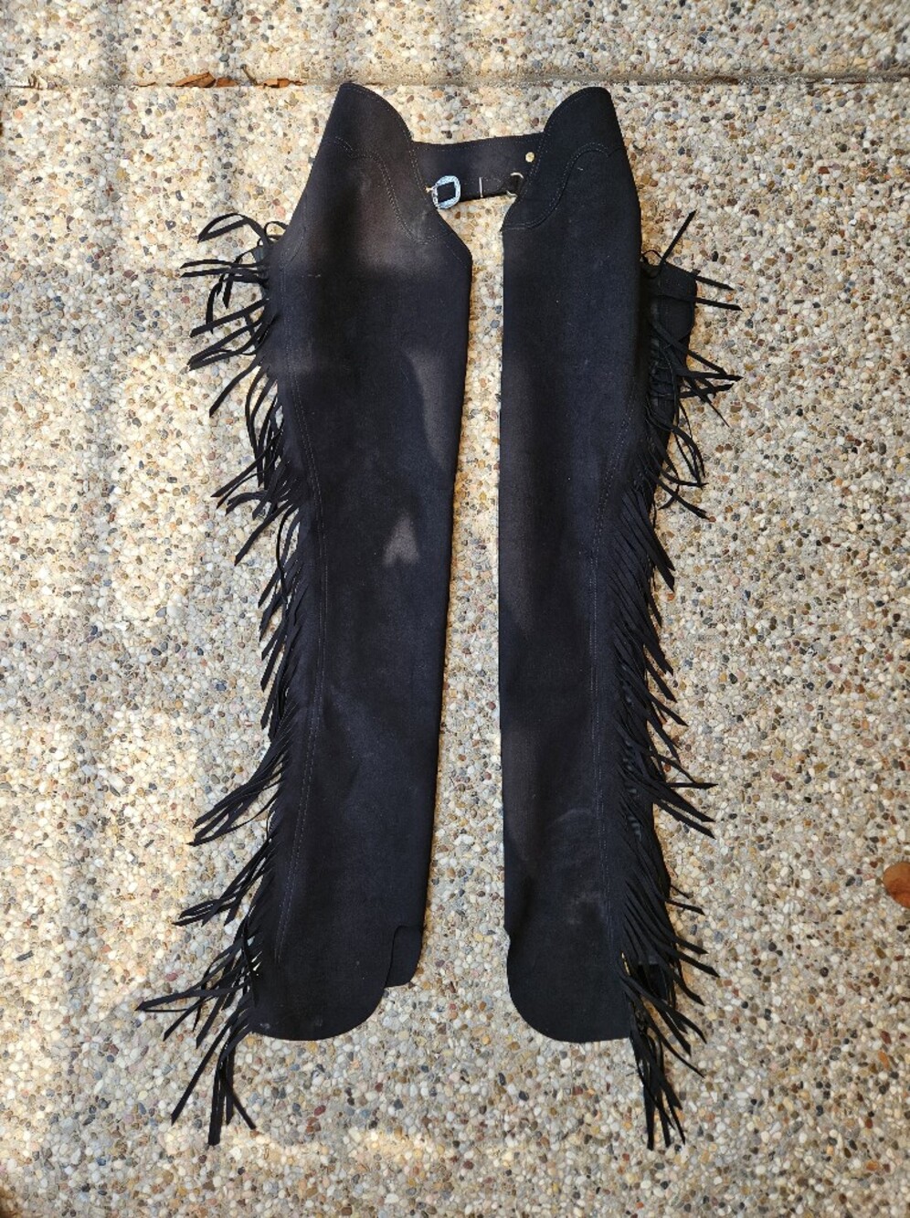 Hobby Horse Riding Co Hobby Suede Black Fringe Chaps Adult Small
